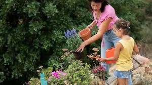 gardening