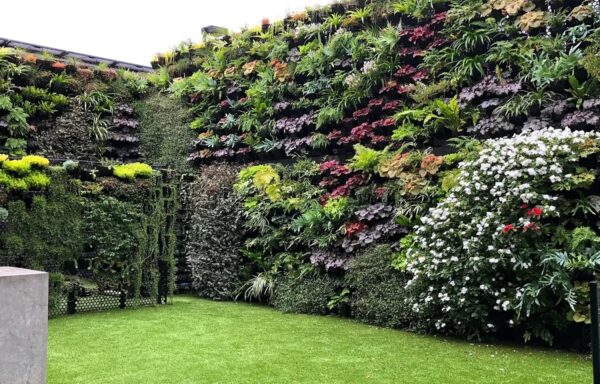 vertical gardening - Image 2