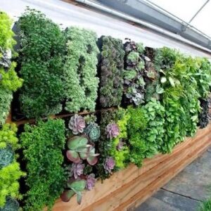 vertical gardening