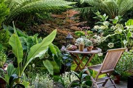 tropical gardening