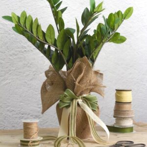 Jute wrapped Jade plant in ceramic pot