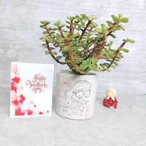 Combo pack of Jade plant + valentine day card + laughing budha