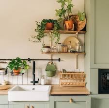 Indoor & outdoor landscape gardening consultancy( online & ofine)