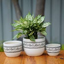 Ceramic pot