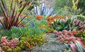 Gardening