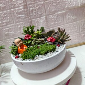 customised succulent garden tray in 10 inch ceramic bonsai pot