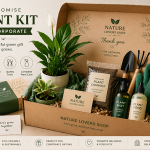 customised plant kit for beginners
