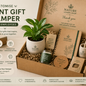 Corporate Plant Gift Hamper for Employees with Indoor Plant, Ceramic Pot, Eco-Friendly Diary, Pen Stand and Customized Company Branding by Nature Lovers Shop