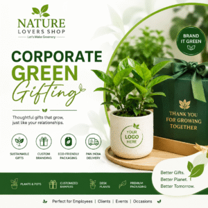 Corporate Green Gifting in India | Customized Plant Gifts | Nature Lovers Shop