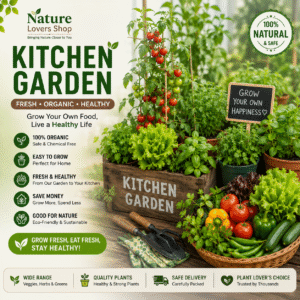 kitchen gardening