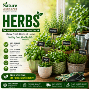 herbs