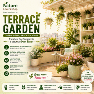 Terrace gardening