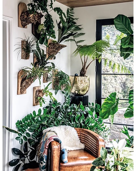 Indoor Gardening Services | Professional Indoor Plant Solutions - Image 2
