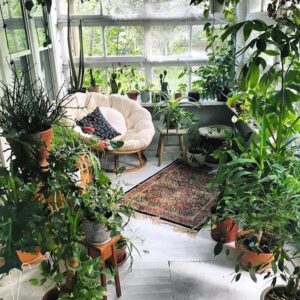Professional Indoor Gardening Services | Nature Lovers Shop