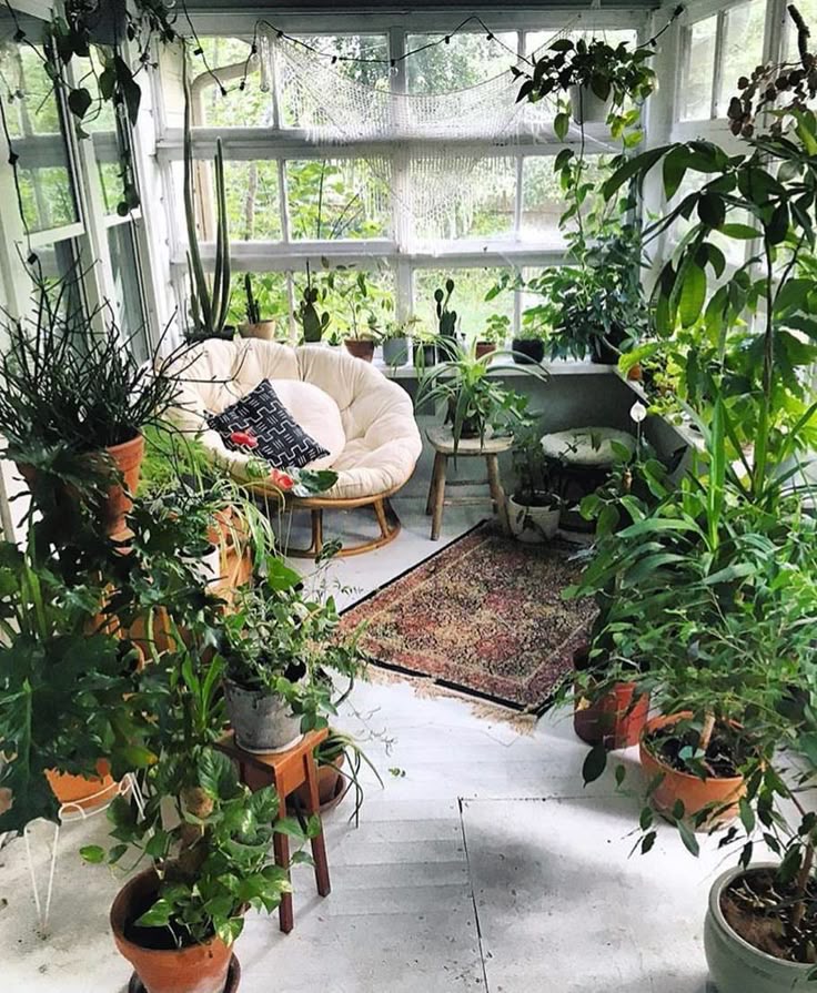 Professional Indoor Gardening Services | Nature Lovers Shop