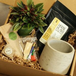 customised corporate green gifting for employee